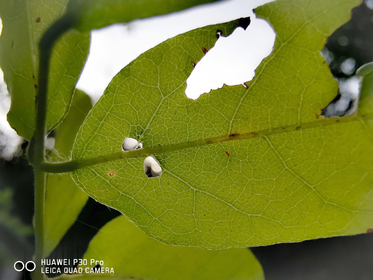 谈笑风生又一年