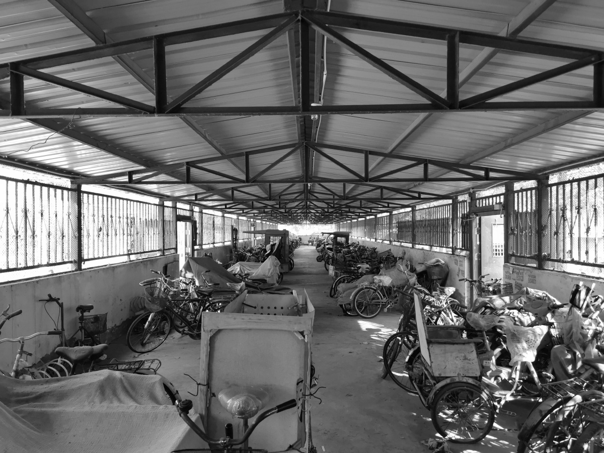 谈笑风生又一年