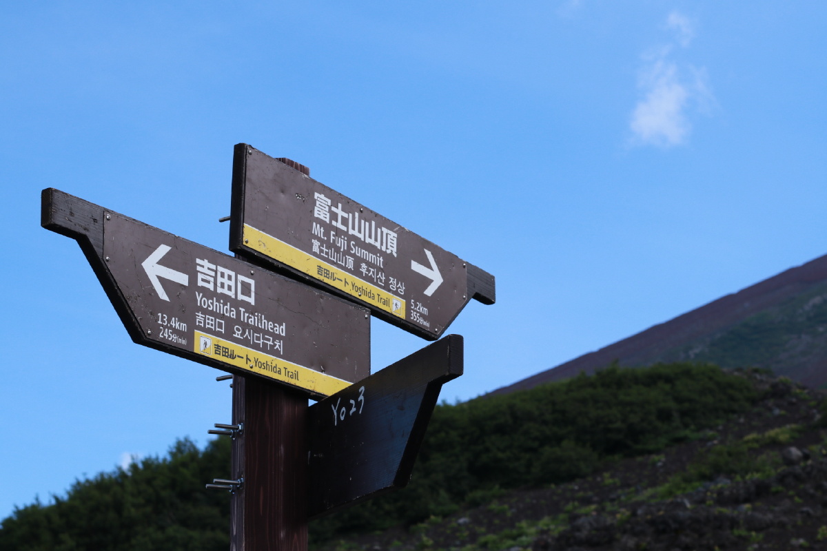 谈笑风生又一年