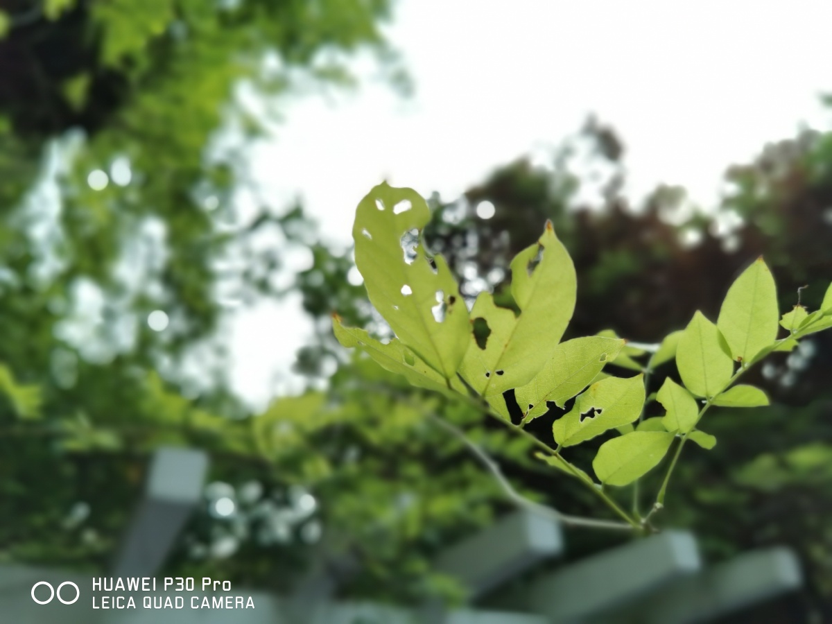 谈笑风生又一年