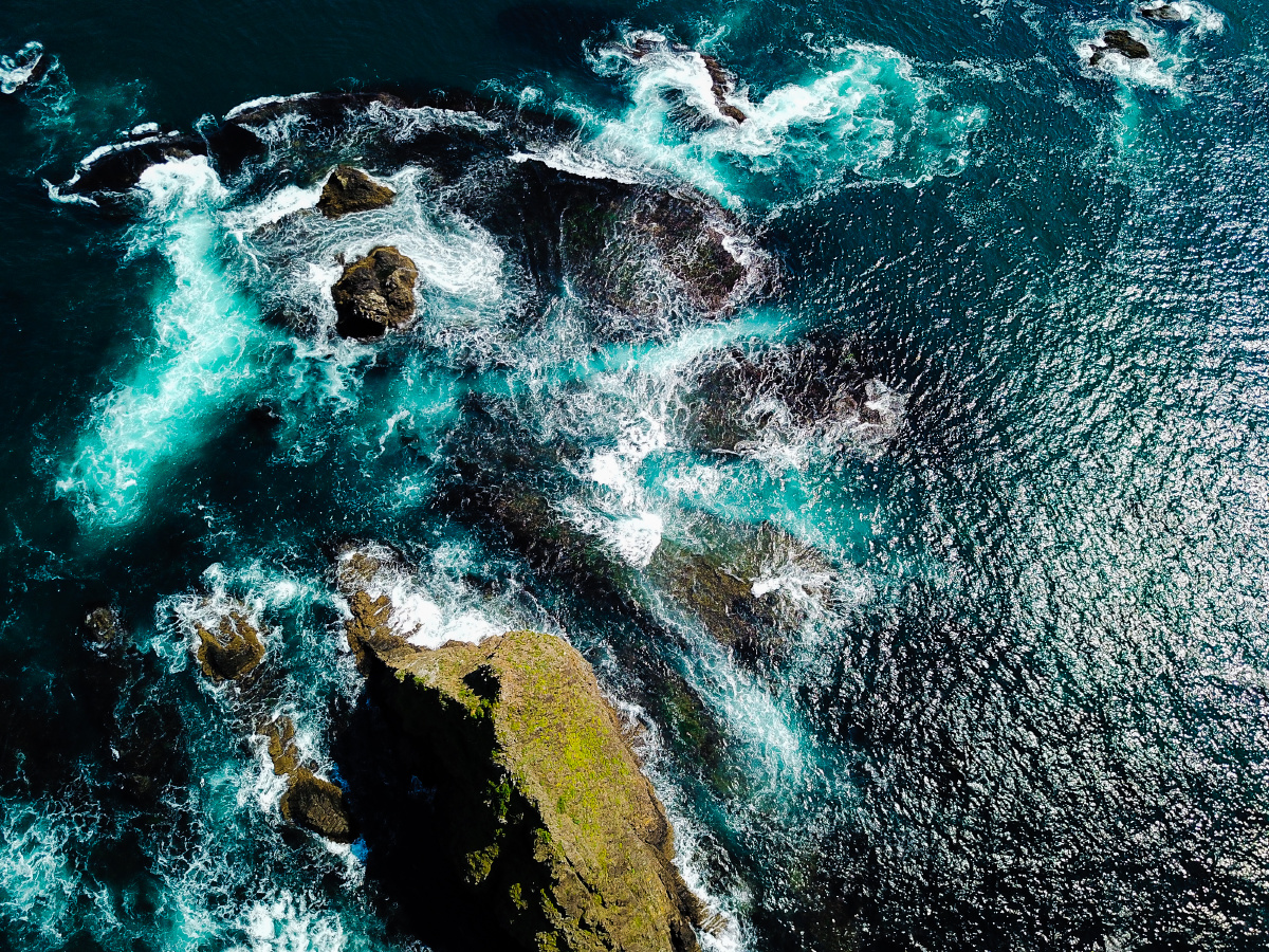 谈笑风生又一年