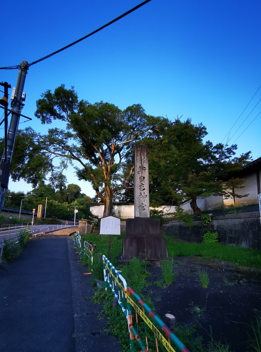 谈笑风生又一年