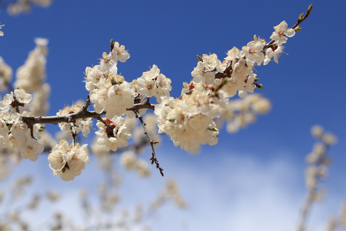 谈笑风生又一年