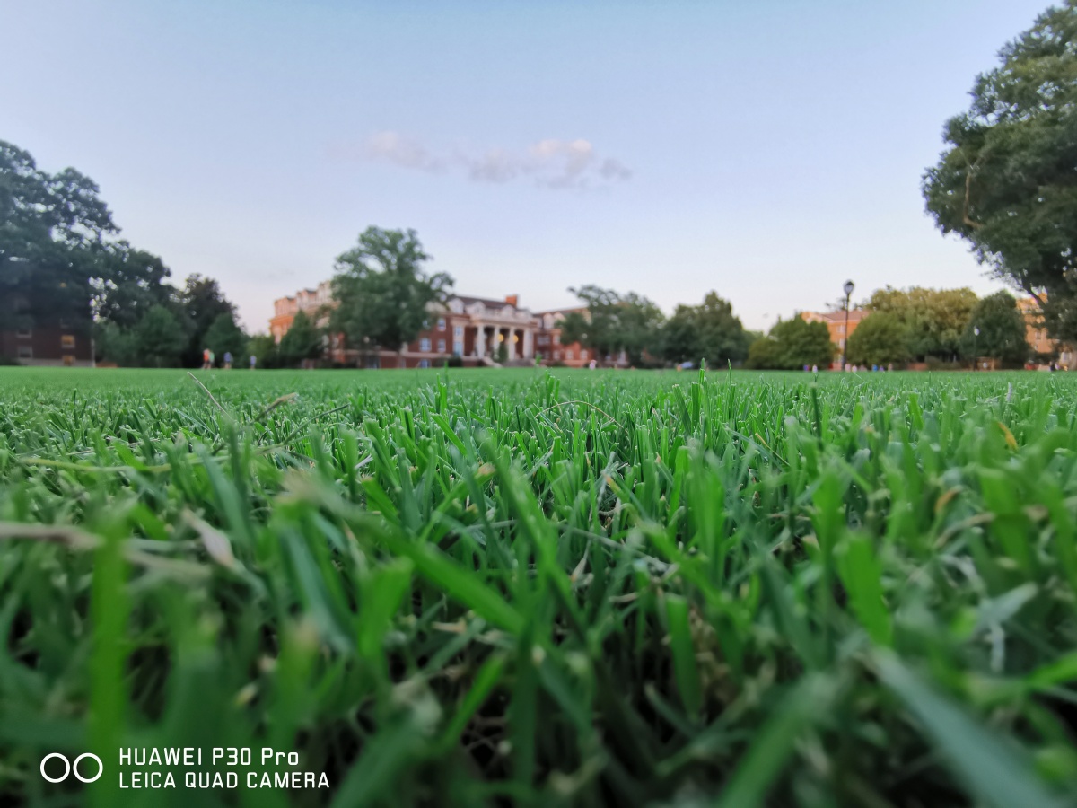 谈笑风生又一年
