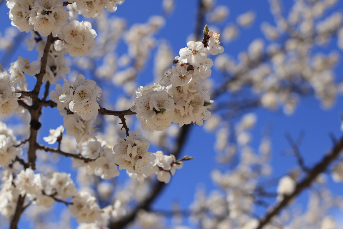 谈笑风生又一年