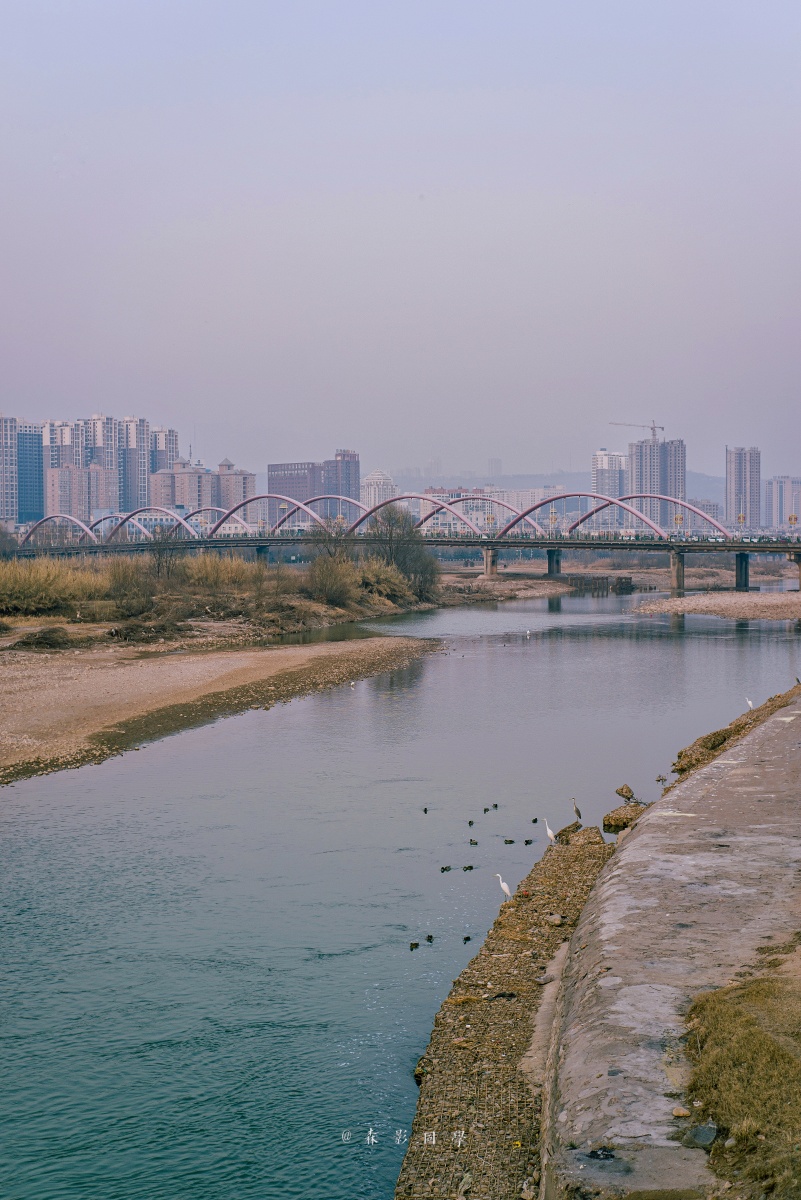 渭水河畔