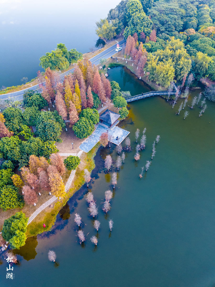 松山湖~松湖烟雨