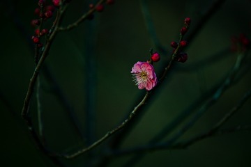 130530