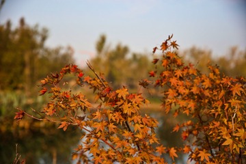 2005396