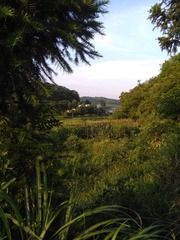 IMG_20160709_184439