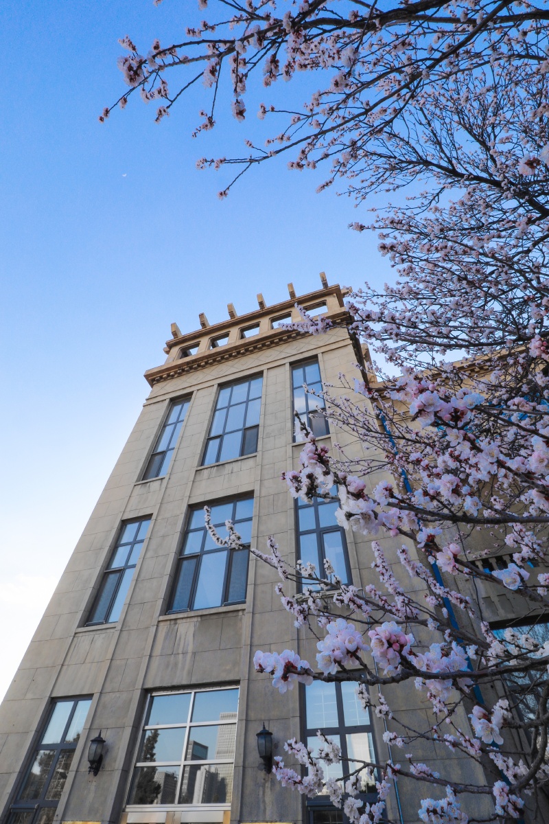 2019东北大学春天