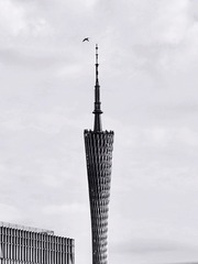 0C573FF2-9E9C-4166-9A8B-33F48F0DFA61/L0/001