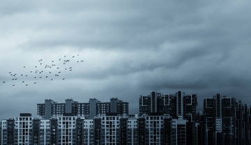 305451