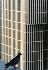 1000014902