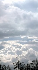 2929815