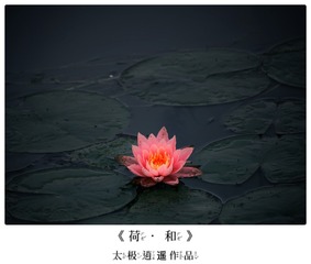 4F62A384-5CC2-4CFF-BB64-8B907A7BB290/L0/001