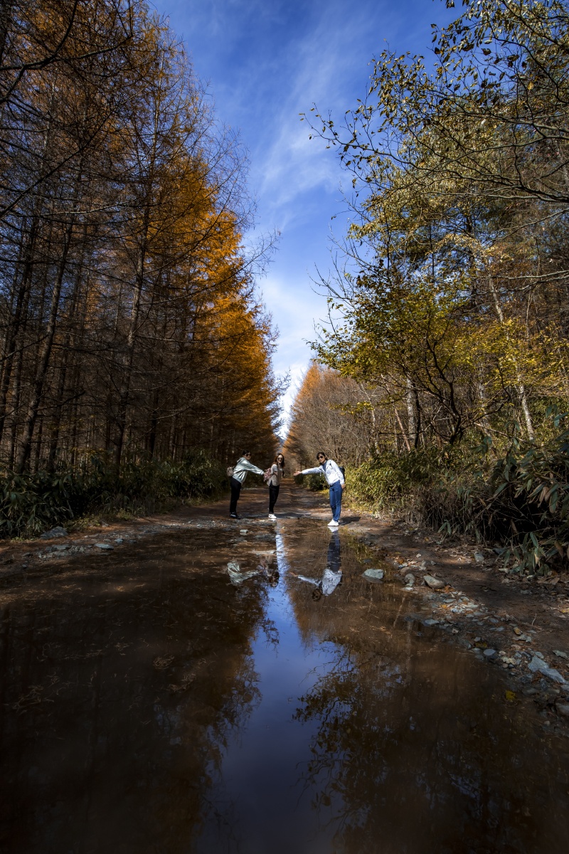 轻风细雨466 - 图虫
