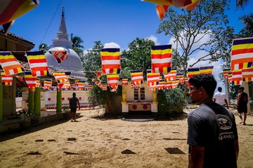 DSC07785_DxO