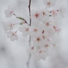 1355723