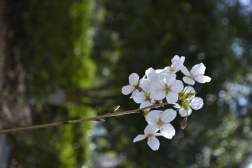 1000042045