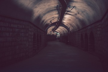 1569046