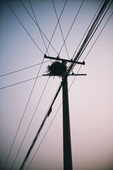 A479E2A9-DCE5-4155-947E-457FD282865A/L0/001