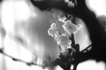 17DAFF84-4362-44AE-BD03-89E8A61D6BD0/L0/001