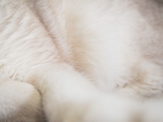 347667