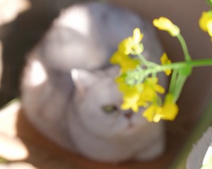 655215