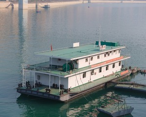 623954