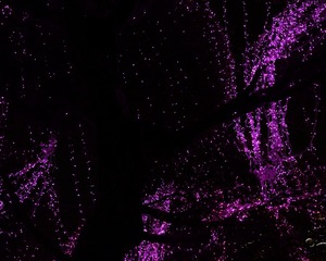 616650