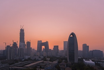 大棒子