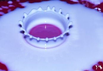 230425