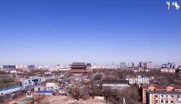 zgulou
