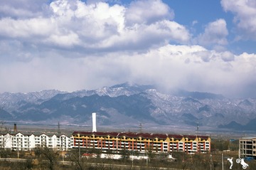 海坨戴雪