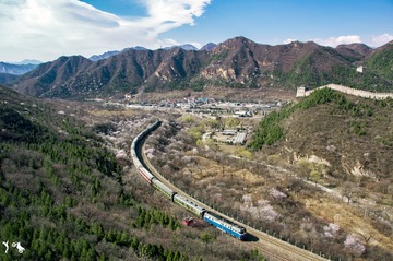 桃花火车