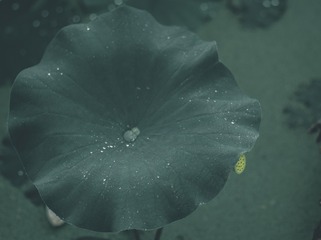 613604