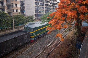 55292