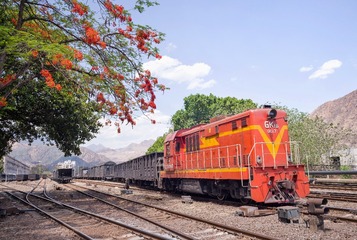 55282