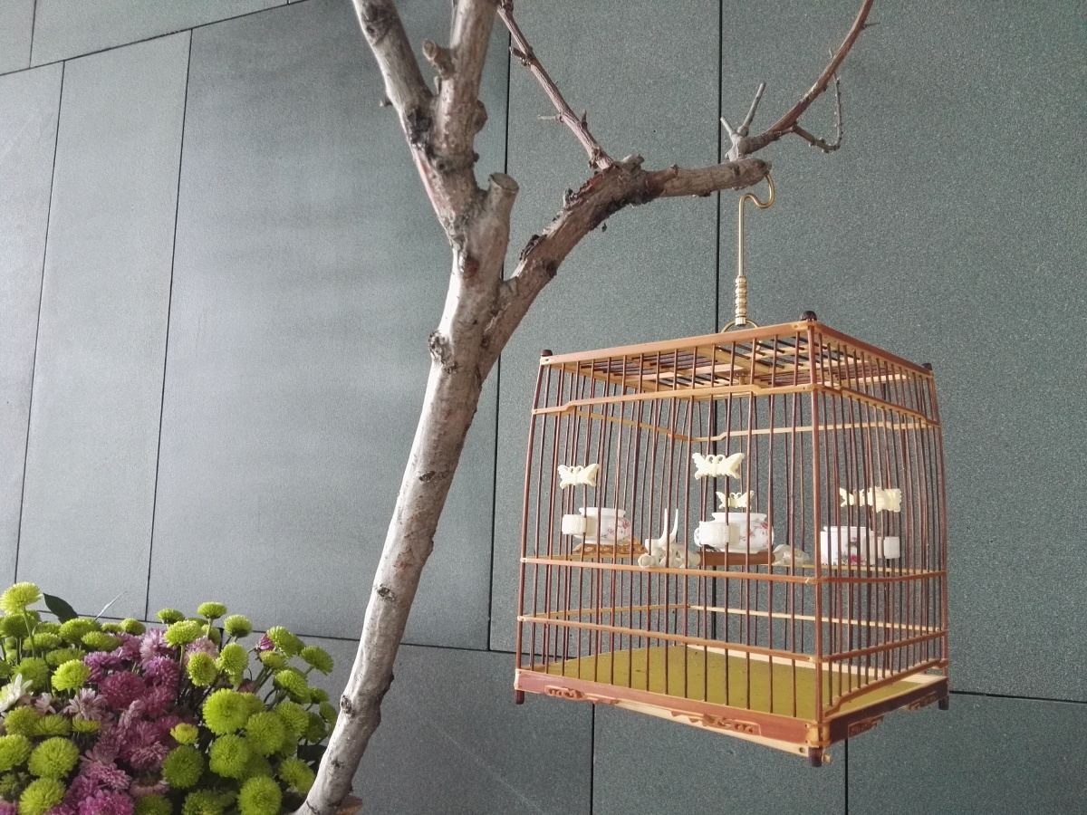 一只精致的鸟笼悬挂在略显粗犷的树枝上,仿佛下面盛开的花也难与其