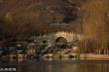 鸳鸯 (15)