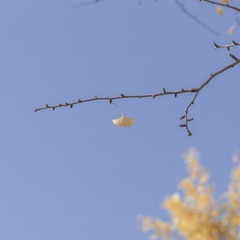 1040401