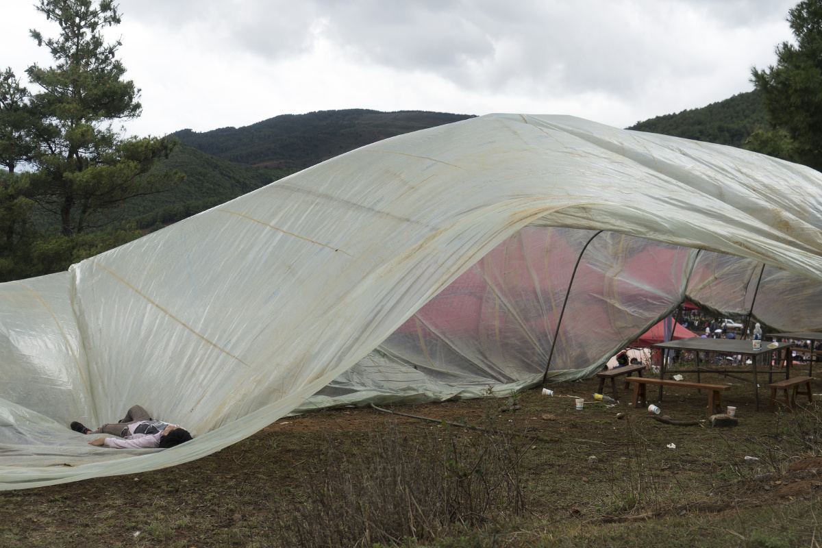 搭建简易棚子图片 526037589.jpg