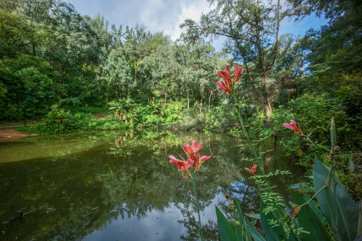 广州浔峰岗公园