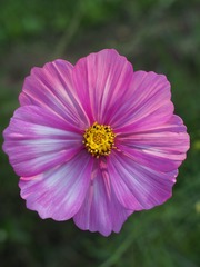 6A18525F-853C-4016-9929-B1FD37FC8D91/L0/001