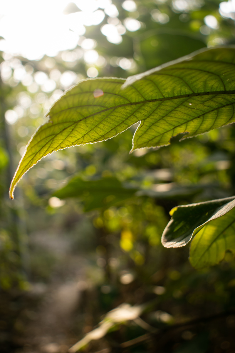 1分钟前 ·阅读6 黑色的眼 关注 清新—夏叶 点