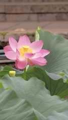 850CACB9-7BCF-42D6-BBF4-479C03F2FE01/L0/001