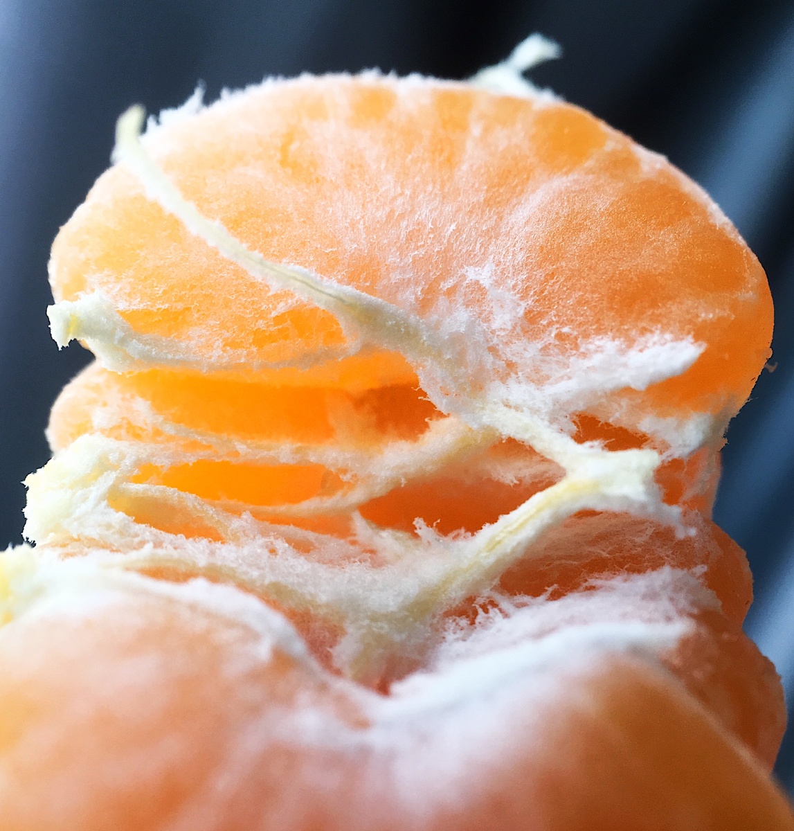 手机微距镜头下的魅力