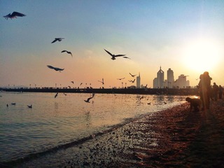 IMG_20160228_165637_1