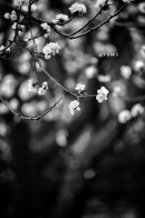 E404017E-B120-4C56-8F3E-EDF09358774A/L0/001